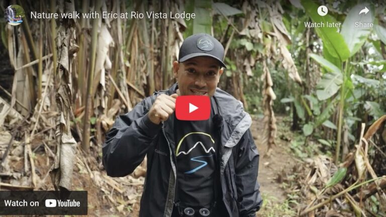Nature Walk at Rio Vista Lodge