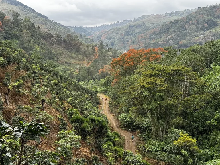 The best way to spend a zero day on the Camino de Costa Rica