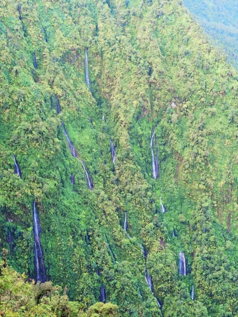 Our favorite hikes in the Turrialba area